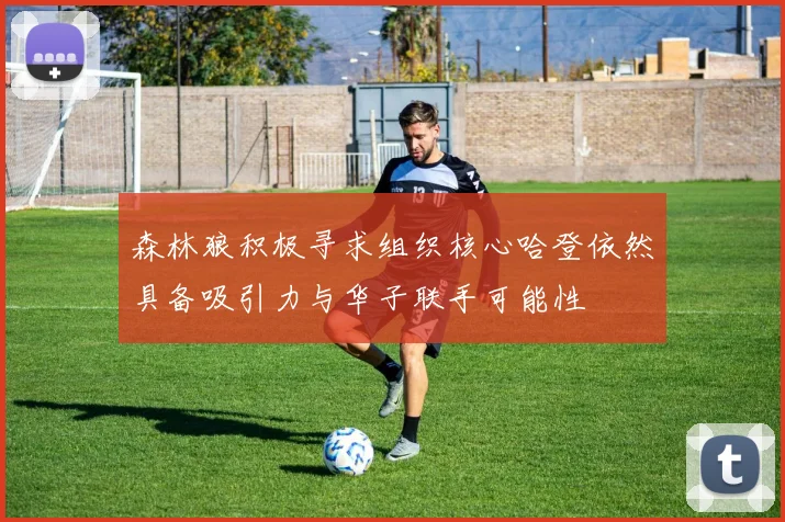 森林狼积极寻求组织核心哈登依然具备吸引力与华子联手可能性