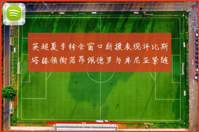 英超夏季转会窗口新援表现评比斯塔赫领衔若昂佩德罗与库尼亚紧随其后