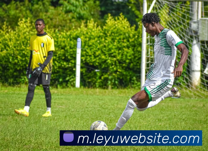 乐鱼体育发展历程